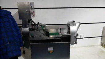廠家直銷不銹鋼切菜機(jī) 多功能仿手工高效切菜機(jī)助力廚房升級
